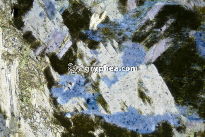 Glaucophane LPNA x25 - gryphea.com